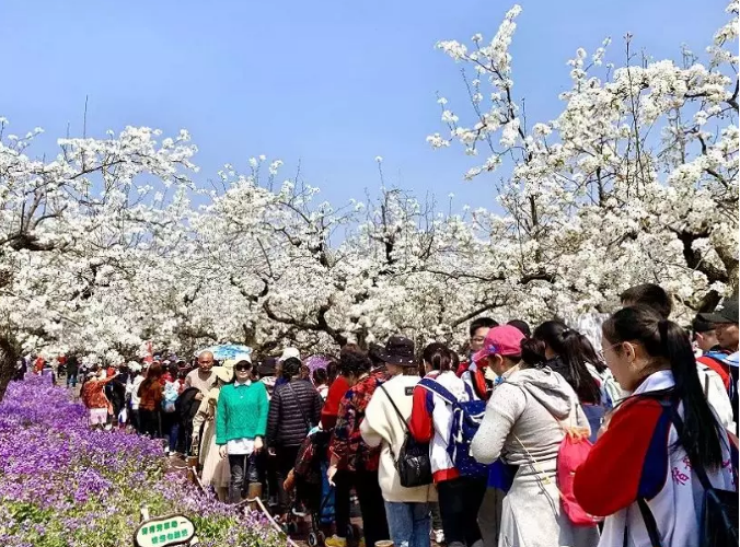 持之以恒规范旅游市场秩序，坚定不移维护良好旅游形象(图3)