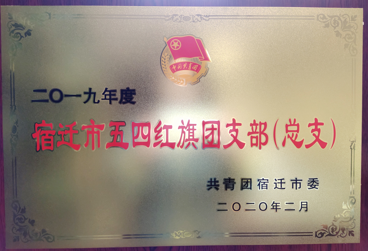 市文旅集团获评“宿迁市五四红旗团委” “宿迁市五四红旗团支部（总支）”(图2)